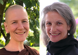 Gemeinsam erwachen: Vipassana-Meditationsretreat mit Einsichtsdialog