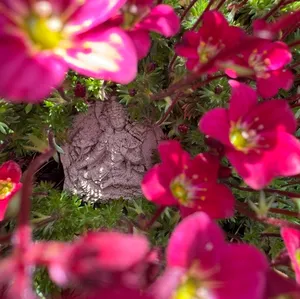 Natürlich sein im Frauenkreis - Meditation, Yoga, Göttinnen Mythologie und Natur-Rituale