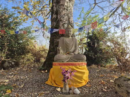 Dana – Großzügigkeit und Geben im Karunahaus