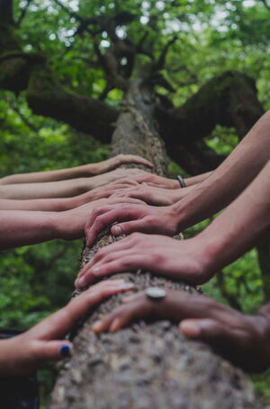 Vipassana-Einsichtsdialog-Retreat