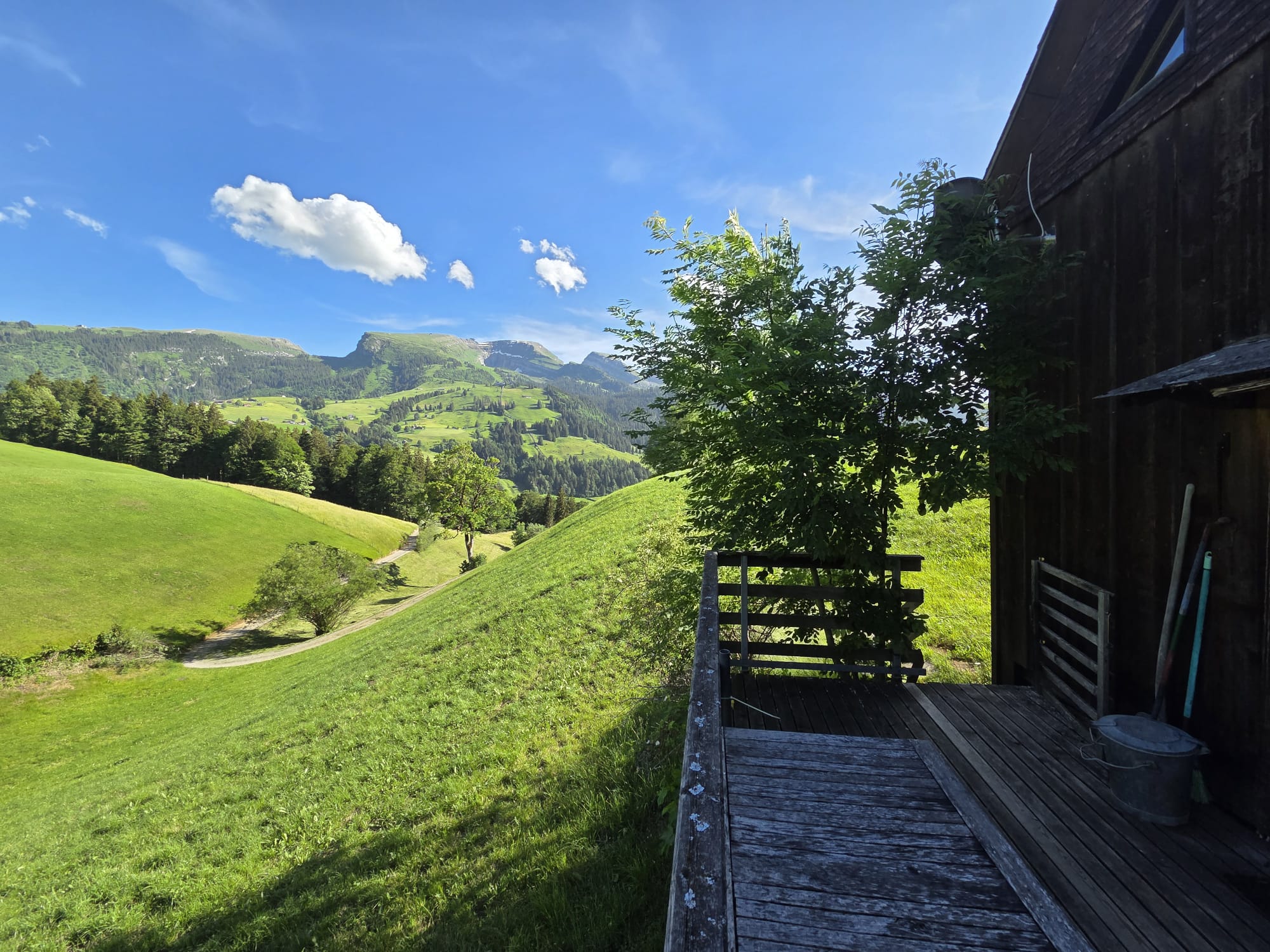 Ausblick von der Terrasse auf die Toggenburger Berge